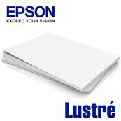 EPSON Papier Lustr 250g 10x15cm pour D500 400 feuilles