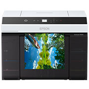 vignette D1000