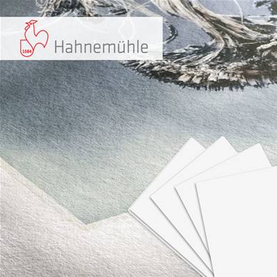 HAHNEMUHLE Papier Fine Art Museum Etching 350g A3+ 25 feuilles