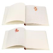 ERICA Album naissance Mon Univers 28x30,5cm 216 vues 10x15 - Lot de 2