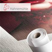 HAHNEMUHLE Papier Cezanne Canvas 430g 24" (61cm) x 12m