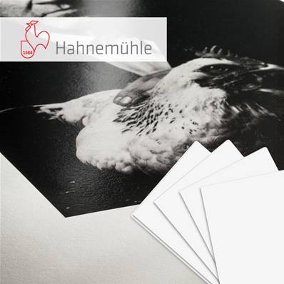HAHNEMUHLE Papier Fine Art Photo Rag Baryta 315g A3+ 25 feuilles