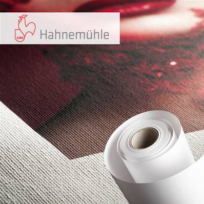 HAHNEMUHLE Papier Cezanne Canvas 430g 24" (61cm) x 12m