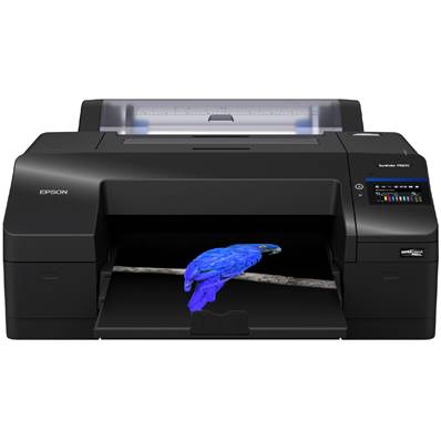 EPSON Imprimante Grand Format SureColor SC-P5300 17''(43,2cm)