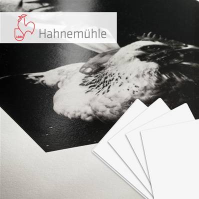 HAHNEMUHLE Papier Fine Art Photo Rag Baryta 315g A2 25 feuilles