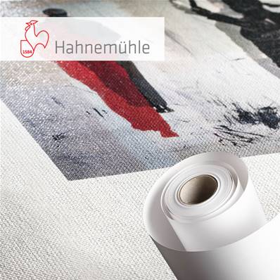 HAHNEMUHLE Papier Goya Canvas 340g 24"(61cm) x 12m