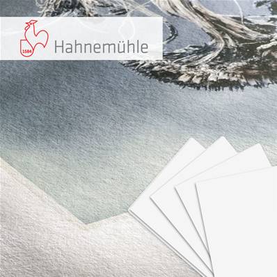 HAHNEMUHLE Papier MUSEUM ETCHING 350g/m² A2 25F