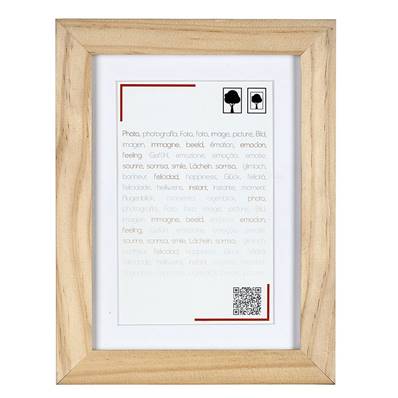 BRIO Cadre Boreale 10X15 cm