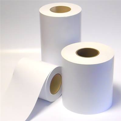 EPSON Papier Art Mat 180g 15,2cm x 65m 2 rouleaux Discontinué