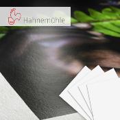HAHNEMUHLE FineArt Photo Rag Pearl 320g A4 25f. *