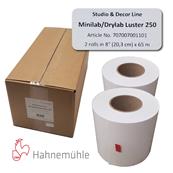 HAHNEMUHLE Papier Lustr 250g 20,3cm x 65m pour D700/800/1000 2 rlx