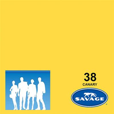 SAVAGE Fond  Photo Canary 2,75x11m (DESTOCK)