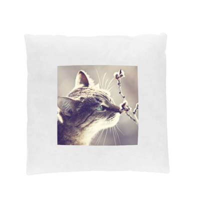 TAIE DE COUSSIN Blanc 40X40cmVendu par 10