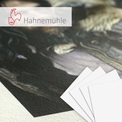 HAHNEMUHLE FineArt Natural Line Agave 290g A3+ 25f.