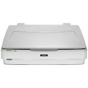 EPSON Scanner A3 EXPRESSION 13000XL