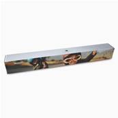 KODAK Etui Poster - 66X8X8cm - par 100 - livr  plat