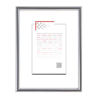 BRIO Cadre GALLERY Argent 30X45. *