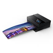 EPSON Imprimante SC-P700 13''- A3