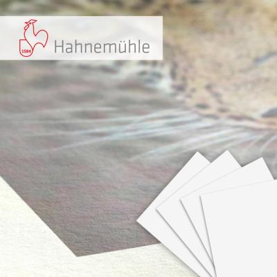 HAHNEMUHLE FineArt Natural Line Bamboo 290g A3 25f. *