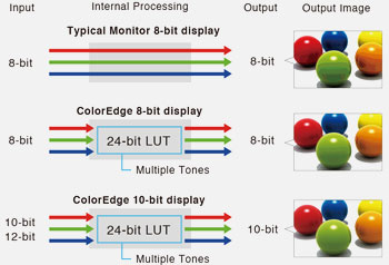 10 bits eizo