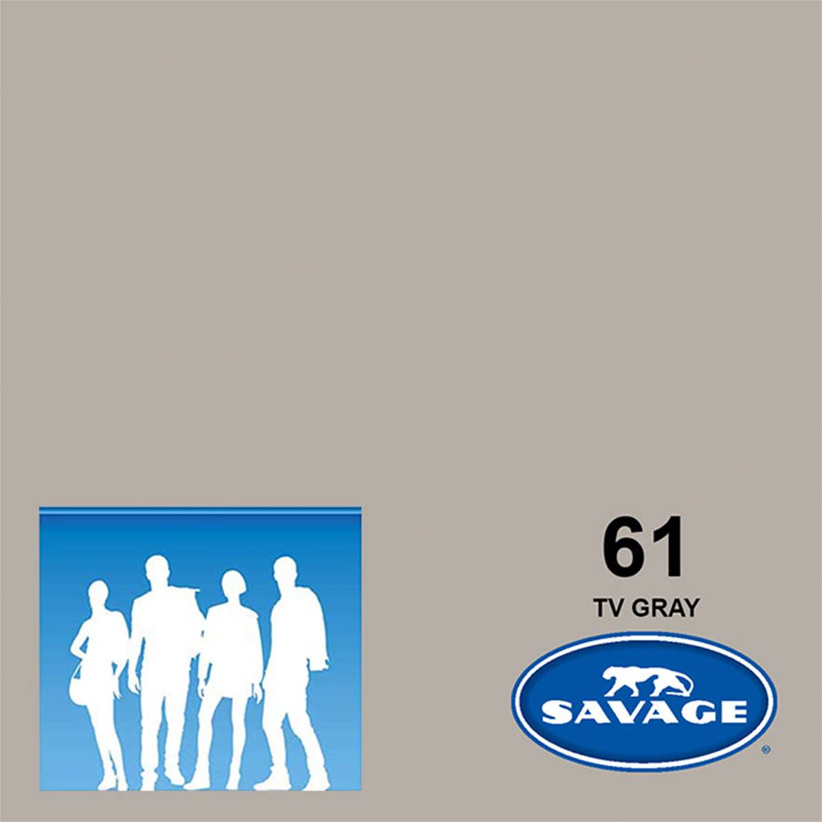 SAVAGE Fond Photo TV Gray 2,75x11m