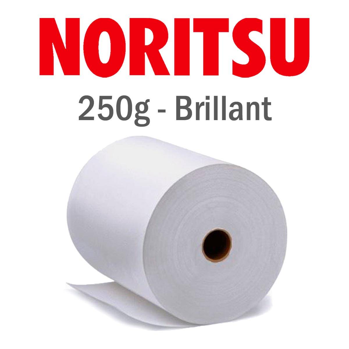 NORITSU Papier Standard 250g Brillant 30.5cmX100m  - 2 rlx