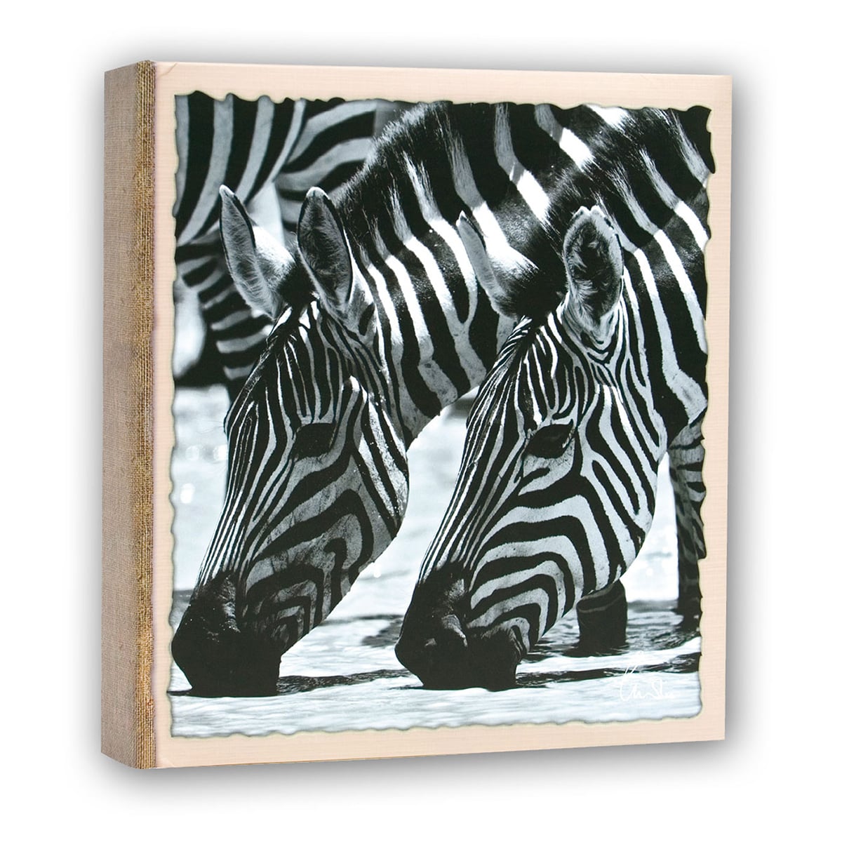 ZEP Album Wild Life 22x24 - 200 vues - Lot de 3 motifs