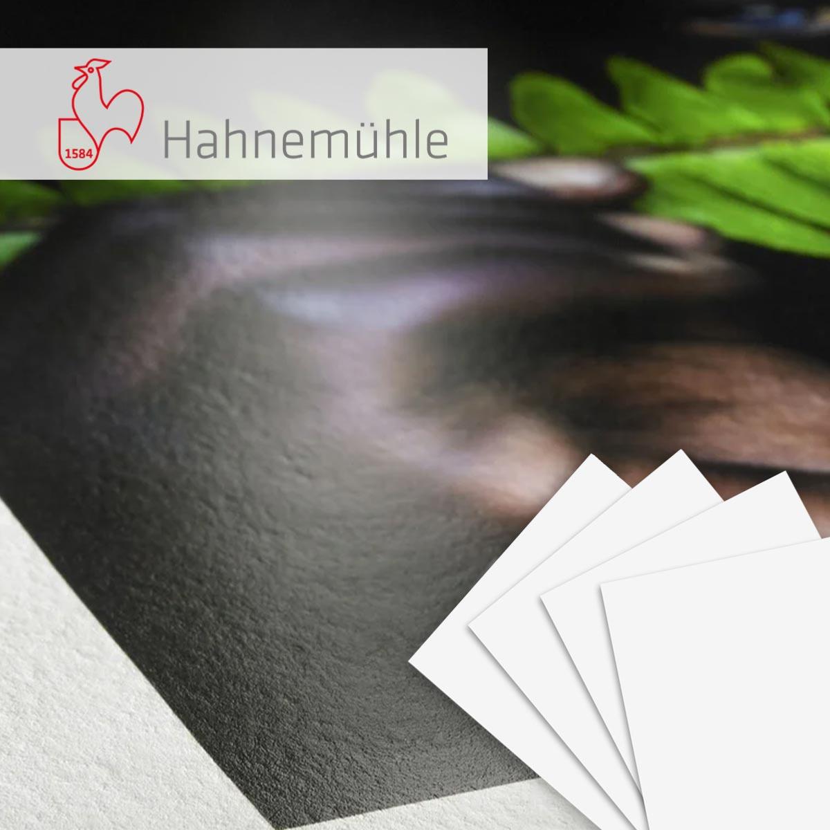 HAHNEMUHLE FineArt Photo Rag Pearl 320g A3 25 feuilles