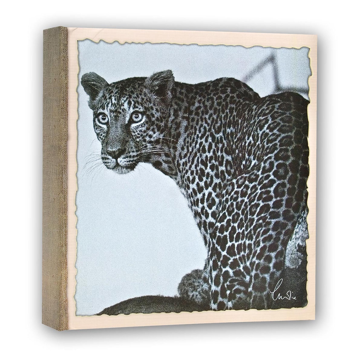 ZEP Album Wild Life 22x24 - 200 vues - Lot de 3 motifs