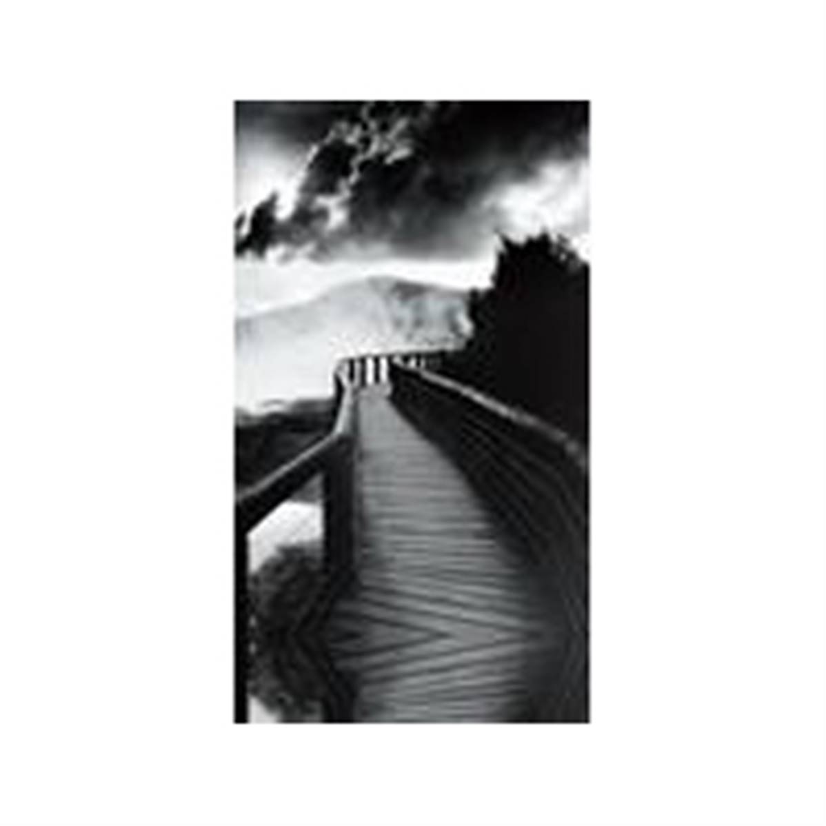 EPSON Papier Photo Traditionnel 325g A3+ 25 feuilles