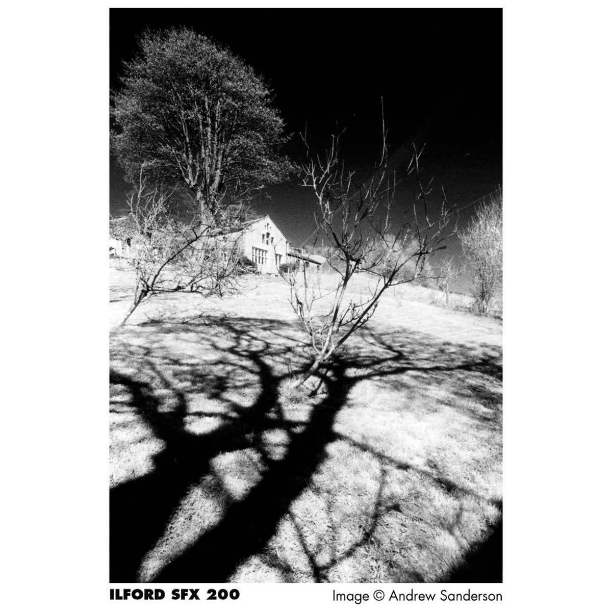 ILFORD Film  SFX 200 135-36 poses  x 10 Films Noir et Blanc