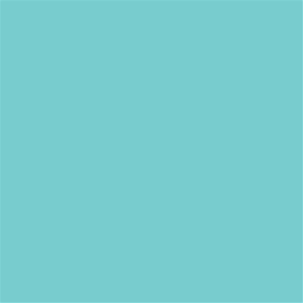 EPSON Encre T6065 K3 Cyan Clair pour SP- 4800/4880  220ml