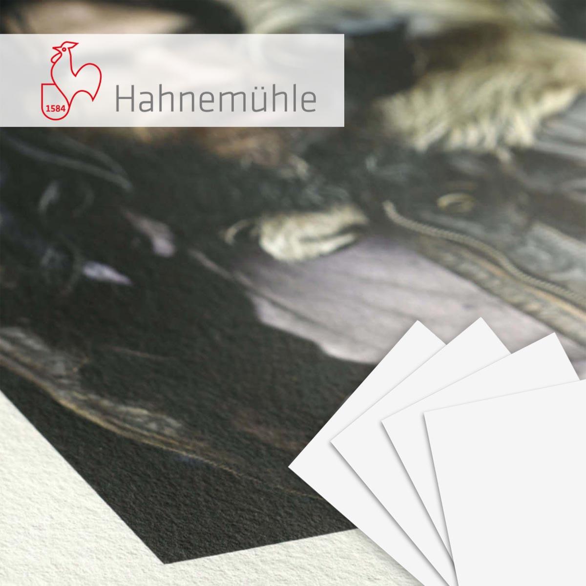 HAHNEMUHLE FineArt Natural Line Agave 290g A3 25 feuilles
