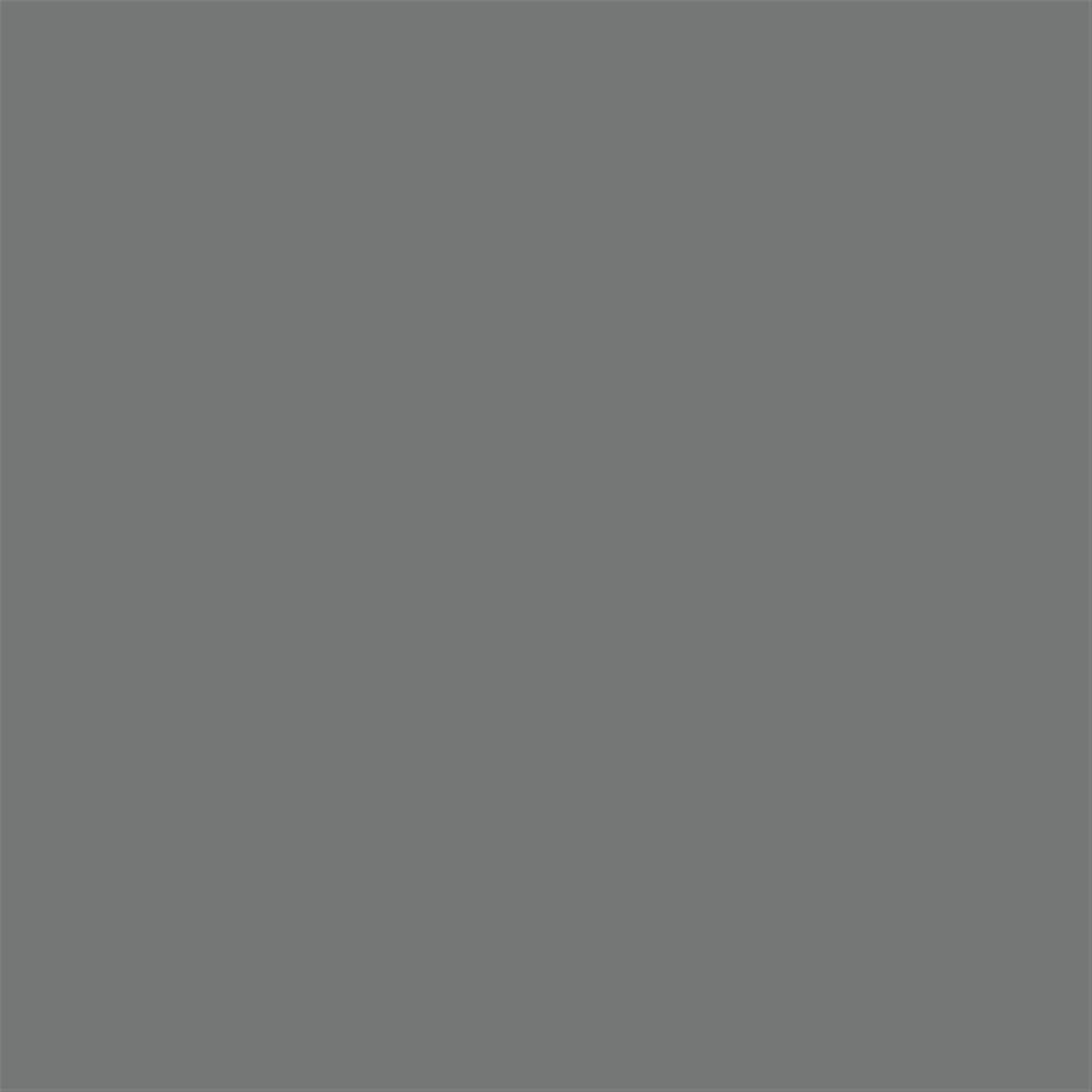 EPSON Encre T6067 K3 Gris pour SP- 4800/4880  220ml (DESTOCK)