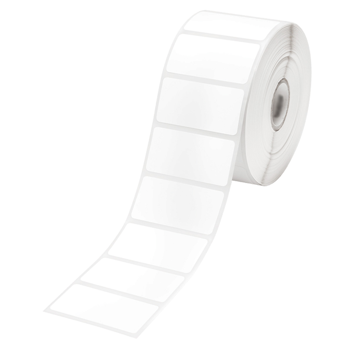 Lot de 4 rouleaux d'étiquettes pour APEX