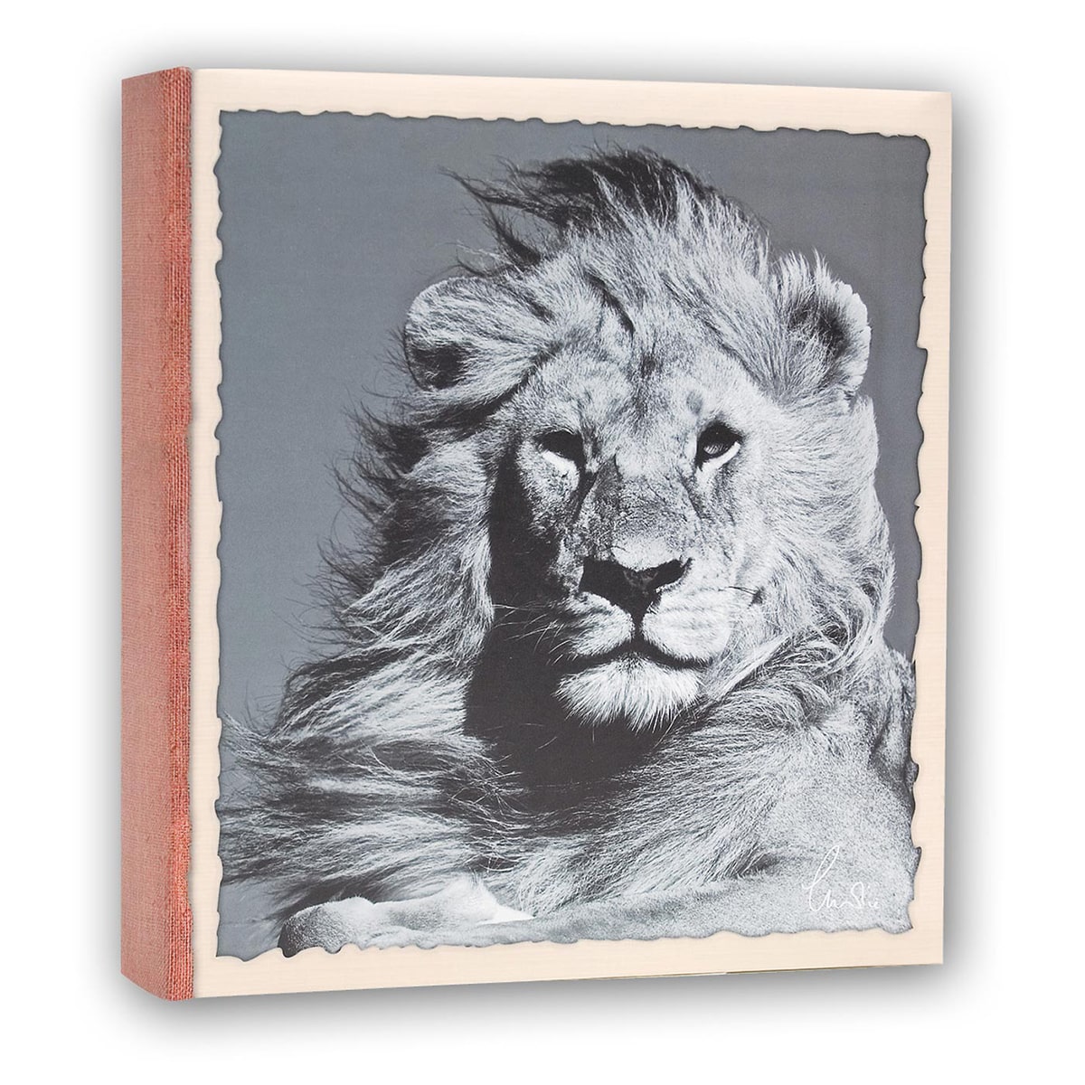 ZEP Album Wild Life 22x24 - 200 vues - Lot de 3 motifs